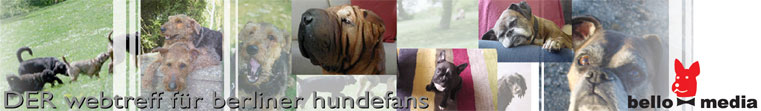 Web-Treff f�r Hundefans - Alles rund um den Hund. Ob Aktuelles, Adressen, Tipps, Auslaufgebiete, Tierarztadressen, Tierkrankheiten, Hundeschule, Forum mit tier�rztlicher Beratung - Hier finden Sie alles �ber und f�r den Hund.