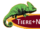 Tiere und Natur